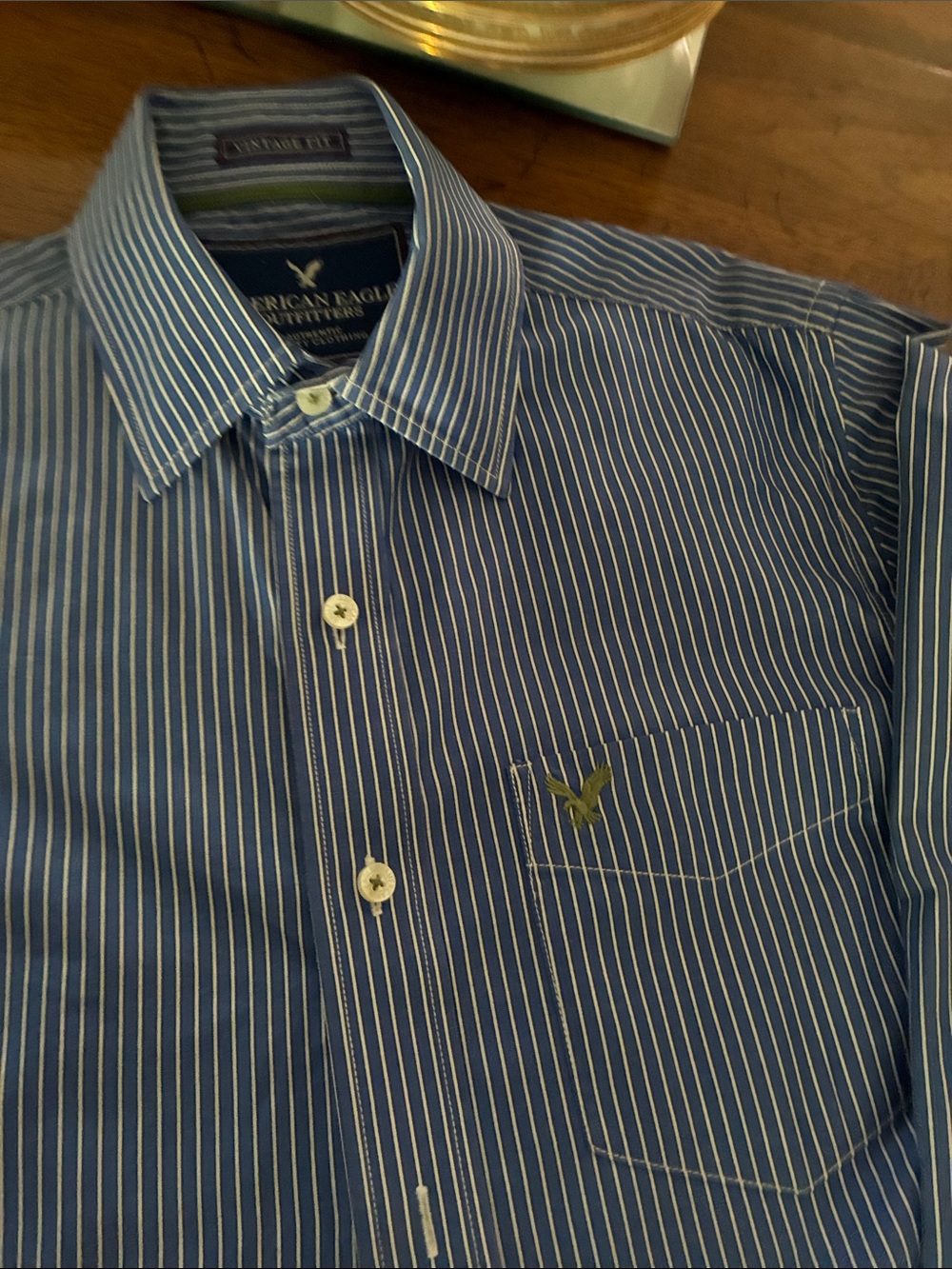 American Eagle Outfitters Navy Blue Pinstripe Men’s Button-Down Shirt